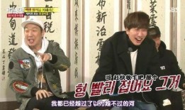 爆料娱乐圈狗哥小说,揭秘明星背后的真实生活